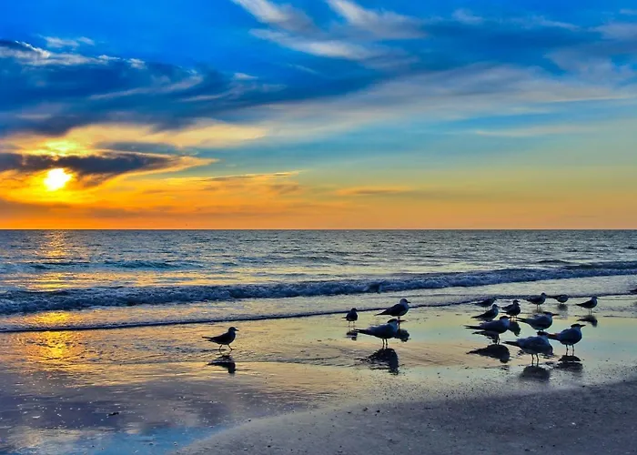 Paradise Found Clearwater Beach